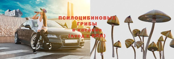 spice Кодинск