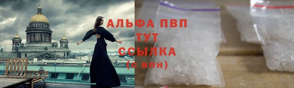 spice Кодинск