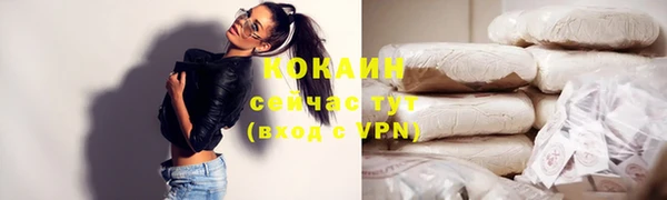 прущие грибы Козельск