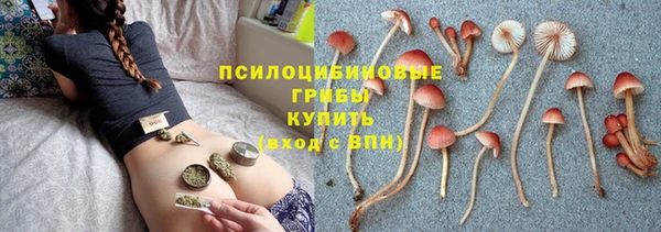 spice Кодинск