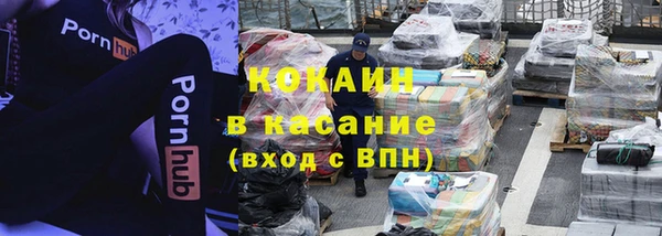 прущие грибы Козельск