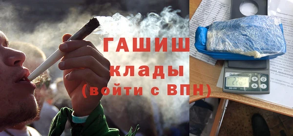 прущие грибы Козельск