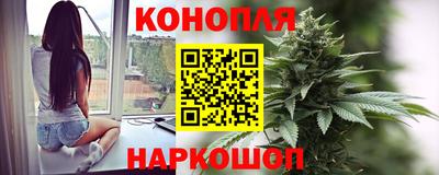 прущие грибы Нягань