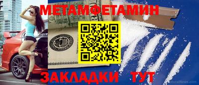 прущие грибы Обнинск
