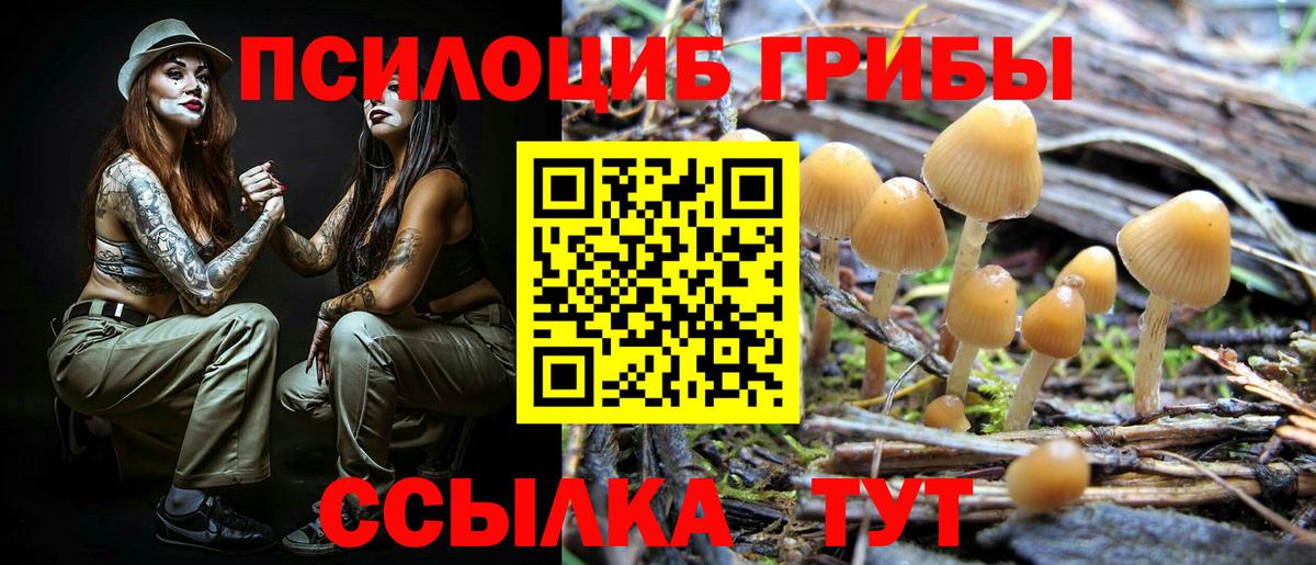 Псилоцибиновые грибы прущие грибы Сосновоборск